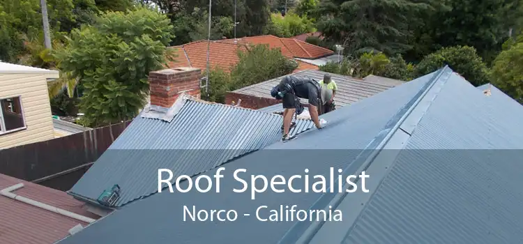 Roof Specialist Norco - California